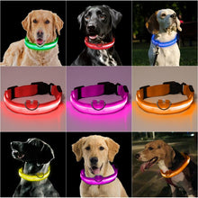 Load image into Gallery viewer, LED Glowing Dog Collar Luminous Collar Adjustable Dog Night Light Collar Pet Safety Collar For Small Dogs Cat Dog Accessories