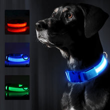 Load image into Gallery viewer, LED Dog Collar USB Rechargeable Bright &amp; High Visibility Lighted Glow Collar for Pet Night Walking Adjustable Luminous Collar