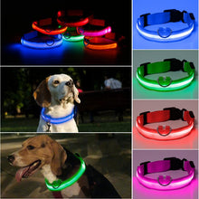 Load image into Gallery viewer, LED Pet Dog Cat Collar Luminous Safety Glow Necklace Flashing Lighting Up Collars For Puppy Cat Pet Supplies Cat Collars