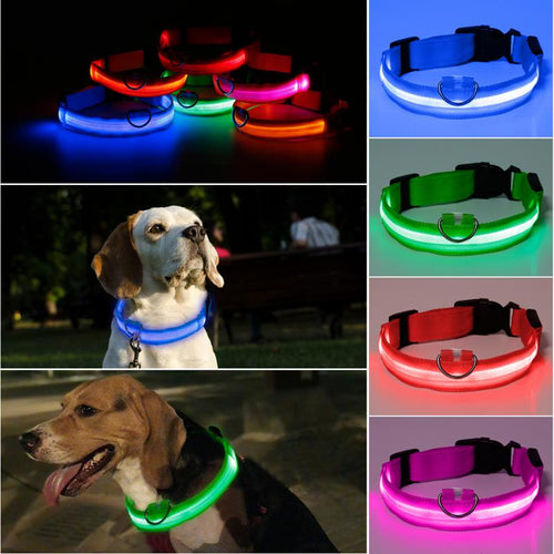 LED Pet Dog Cat Collar Luminous Safety Glow Necklace Flashing Lighting Up Collars For Puppy Cat Pet Supplies Cat Collars