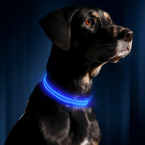 LED Dog Collar USB Rechargeable Bright & High Visibility Lighted Glow Collar for Pet Night Walking Adjustable Luminous Collar