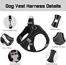 Load image into Gallery viewer, Pet Dog harness and leash set Reflective Breathable Harness Dog Adjustable Comfort Puppy harness outdoors travel Pet Supplies