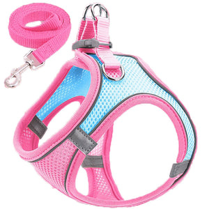 Pet Dog harness and leash set Reflective Breathable Harness Dog Adjustable Comfort Puppy harness outdoors travel Pet Supplies